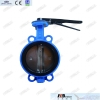 Cast iron wafer butterfly valve with ss304 disc