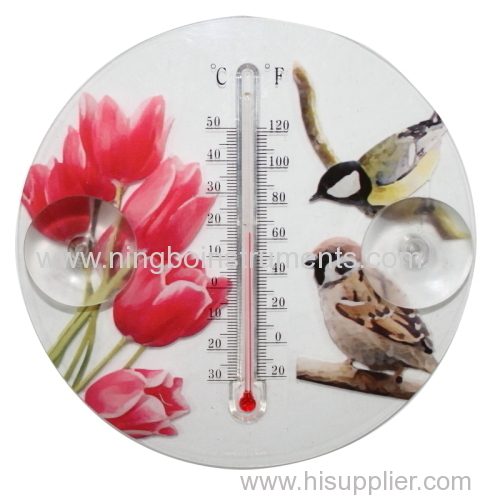 cheap plastic window thermometer