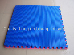 Gym&Tkd Sports Joint Floor Mat