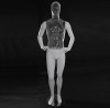 Male full body PC mannequin display