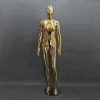 Female golden plated PC mannequin body