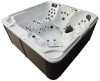 ozonator hot tub High Quality whirlpool spa