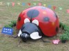 park decoration fiberglass ladybird