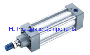 SI50X100 Standard Air Cylinders