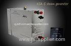 TOLO Stainless Steel Automatic Electric Steam Generator 220V 5000w