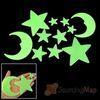 2012 new eco-friendly , EPOXY PVC and PAPER glow in the dark pvc flowers wall sticker