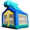 OEM Commercial 0.55mm PVC Tarpaulin Inflatable bouncer, Inflatable Jumper Bouncers YHB-045