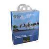 2013 OEM HDPE promotional plastic cosmetic bag with softloop handle