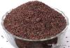 Red Sesame seed for sale