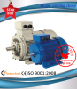 Three-phase Asynchronous Induction Motor