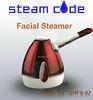Red / White Beauty Facial Steamer , Mini Ionic Facial Steamer