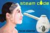 Water Vaporizer Beauty Facial Steamer Mini , Portable For Home