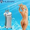 5 Treatment Handles , Cryolipolysis Slimming Machine , Whole Body Slimming for Salon