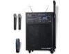 Rechargeable Portable Karaoke System USB Wireless Amplifier