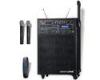 250w Portable UHF Wireless Microphone PA Speakers System