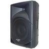 300W 15 Woofer RMS USB double channel stereo Stereo Active PA Speaker With LCD Screen