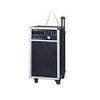 Portable Public Address Systems Wireless Amplifier with USB Recording