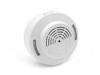 Wall Mounted Natural Smoke Alarm Detector , LPG Gas Detector