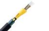 Multi mode Tight Buffer Armored Indoor Fiber Optic Cable IEC 60794-1