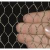 Chicken Coop Hexagonal Wire netting