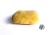 Natural Sea SPonge from Greeece