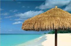 tropical beach seaside synthetic reed roof umbrella