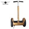 Kingswing 1000w 2 Wheel Electric Chariot Scooter Self Balancing Scoote