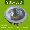 CREE COB 50W LED Downlight MeanWell Driver LED Downlight