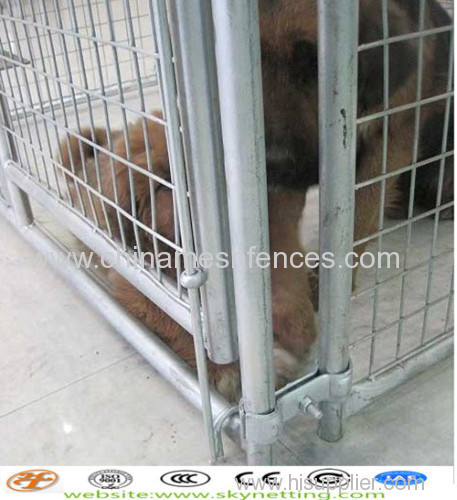 outdoor big welded mesh chain link mesh dog kennel