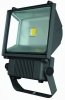 LED Flood Light / Floodlight