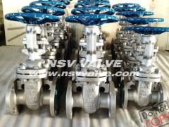 Alloy 20(CN7M) Gate Valve