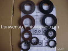 Sealing ring lip seal