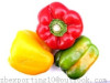 Capsicum Extract- plant extract