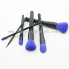 Colored Synthetic Hair Make Up Brushes Set