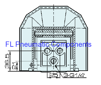 Pneumatic Foot Valve with Lock and Cover