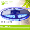 3528 SMD Waterproof LED Strip 12v