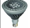 LED Indoor Par38 Light