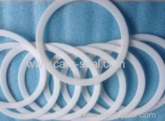 PTFE gasket used in mechanical seal