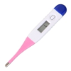 Digital clinical thermometer