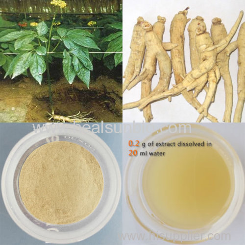 The Panaxatriol Saponins Rg1+Re 50% from Ginseng Leave extract