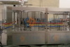 bottle washing filling capping machine