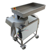 Big Dicer Cutting Machine