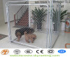 galvanized chain link dog kennel 50x50mm 60x60mm hole size