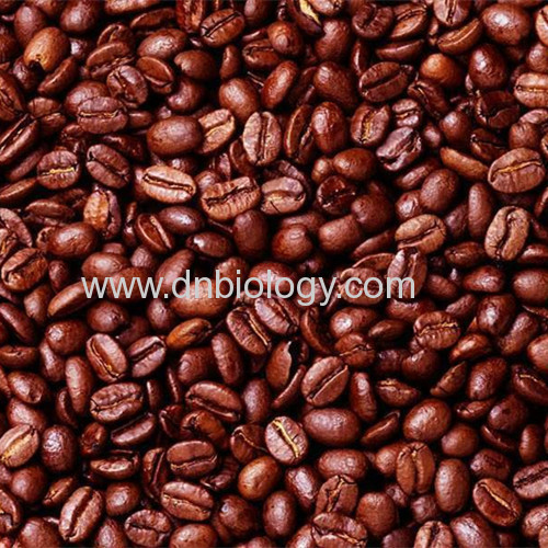 Cocoa seed P.E.Cocoa seed plant extract Cocoa seed extract