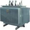 oil-immersed distribution transformer or power transformer