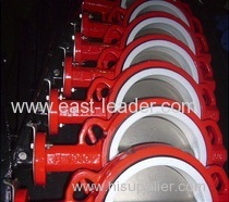 PTFE Seat Butterfly Valve