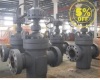The New Generation 20&quot; gate valve China