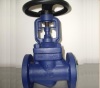 short delivery high quality din bellow sealed globe valve zhejiang