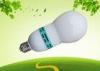 Warm White Induction Fluorescent Lighting E27 / Electrodeless Lamps 2.65MHZ For Street