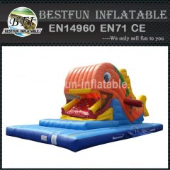 Commercial inflatable whale slide